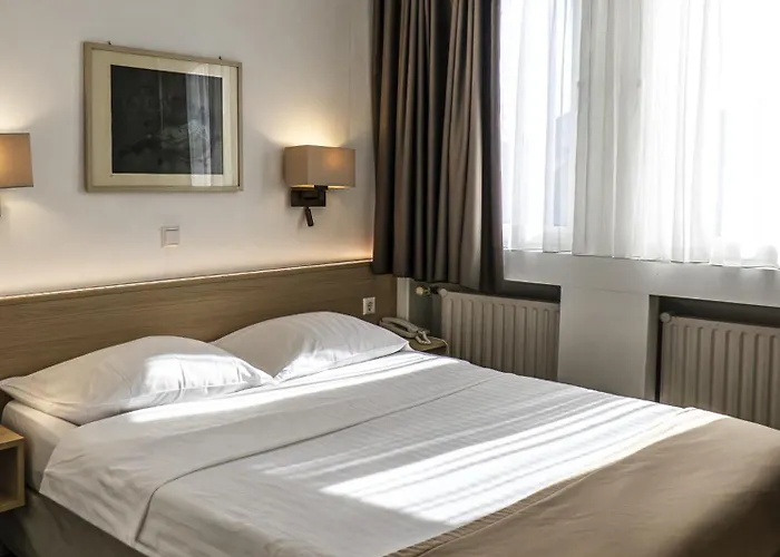 Hotel Francais